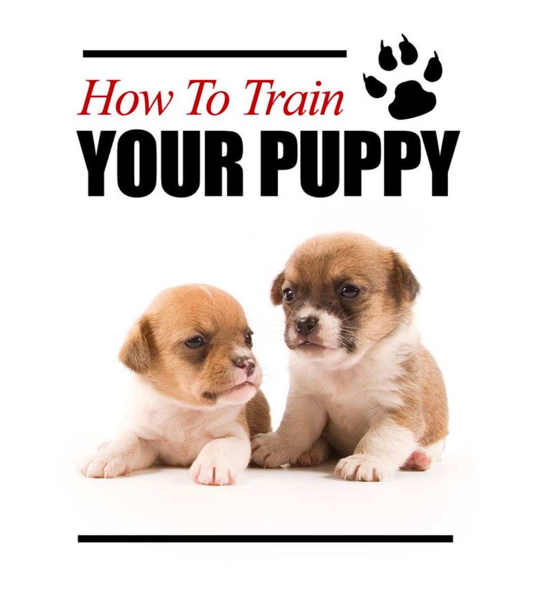 How To Train Your Puppy
