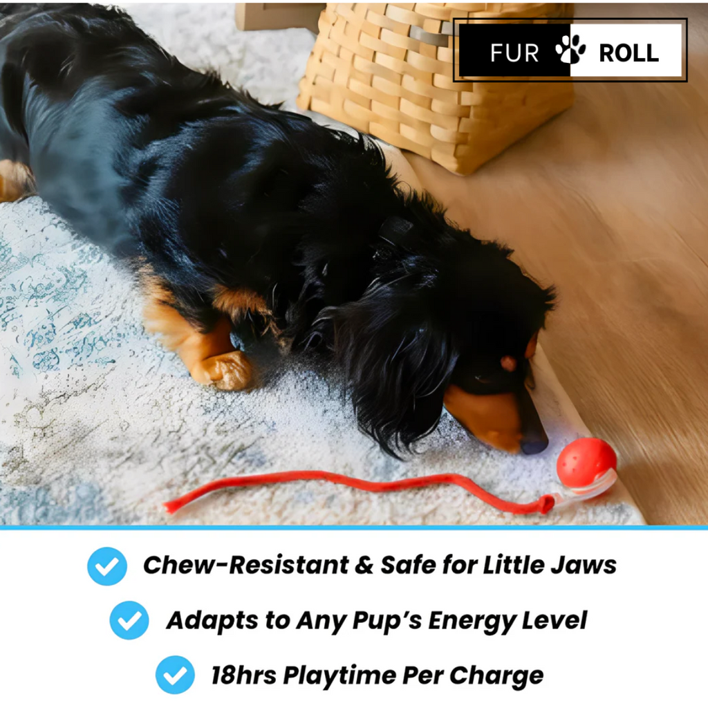 FurRoll™ (FREE TODAY)