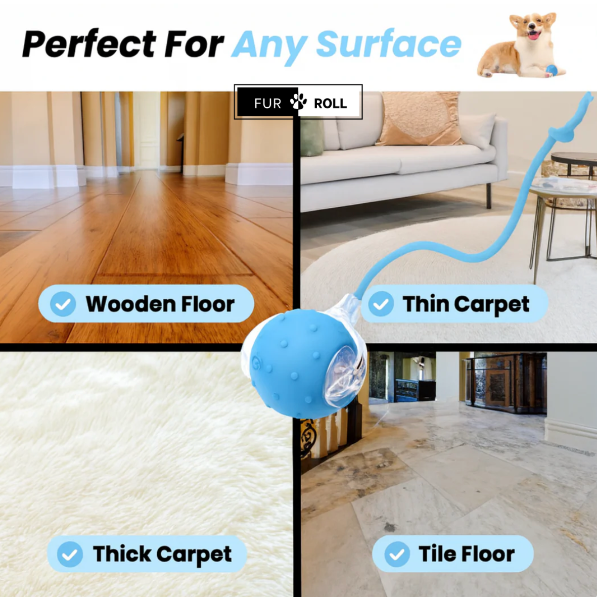 FurRoll™ (FREE TODAY)