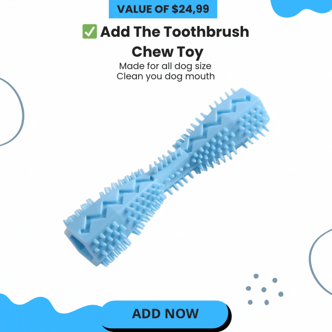 Toothbrush Chew Toy