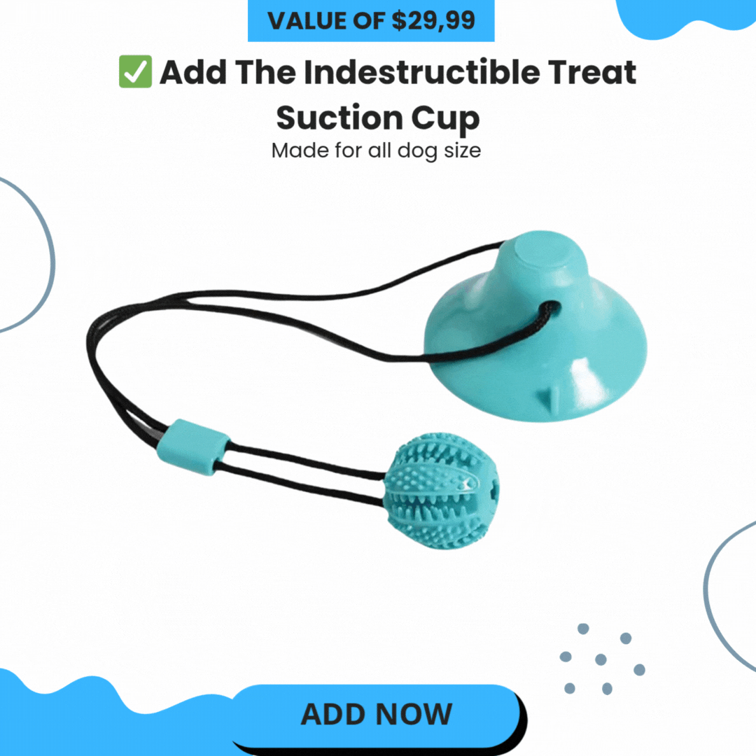Indestructible Treat Suction Cup
