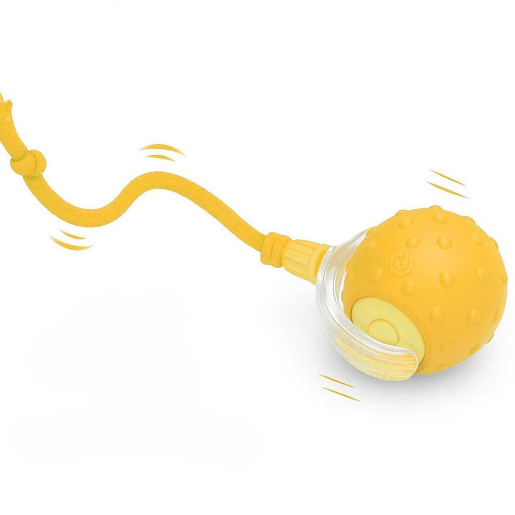 FurRoll™ (FREE TODAY)