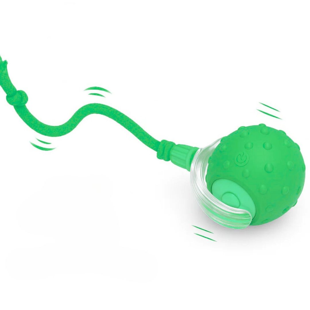 FurRoll™ (FREE TODAY)